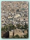 Blick auf die Medina von Fés