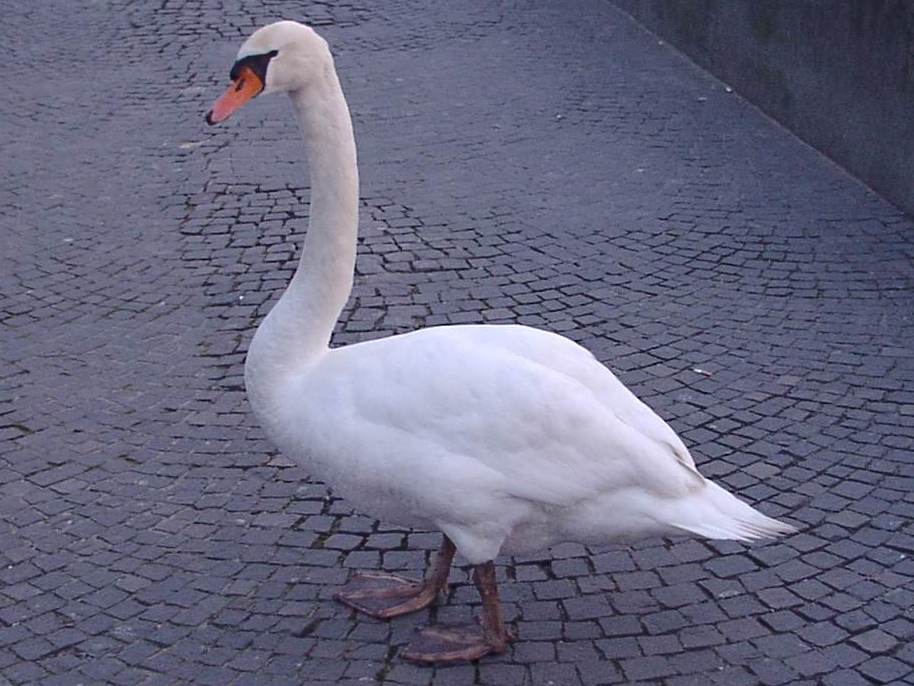 März