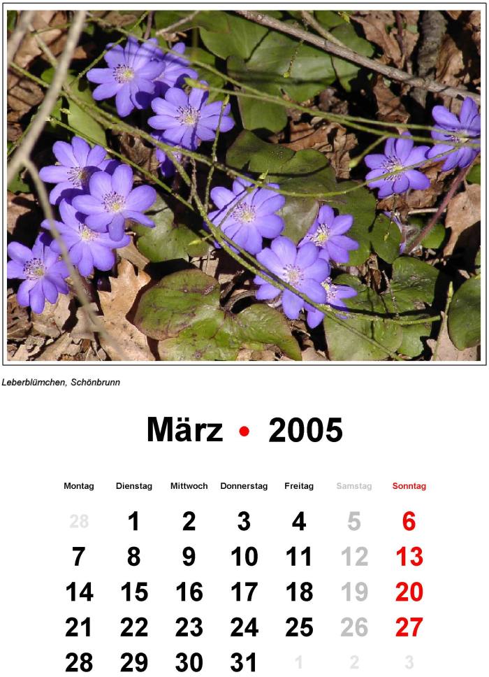 Titel 2005