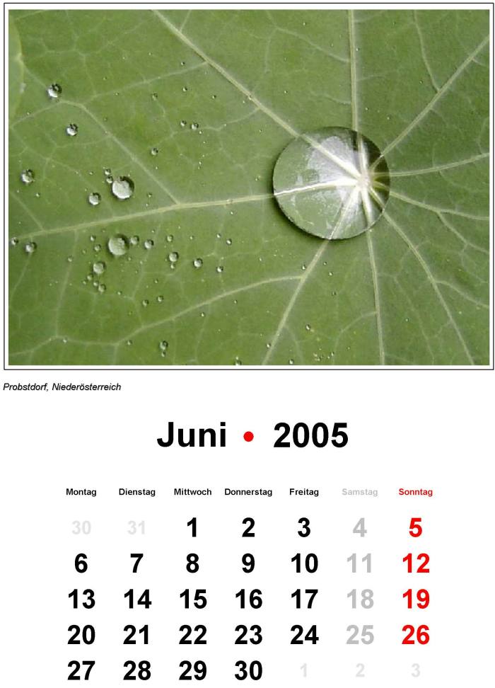 Titel 2005
