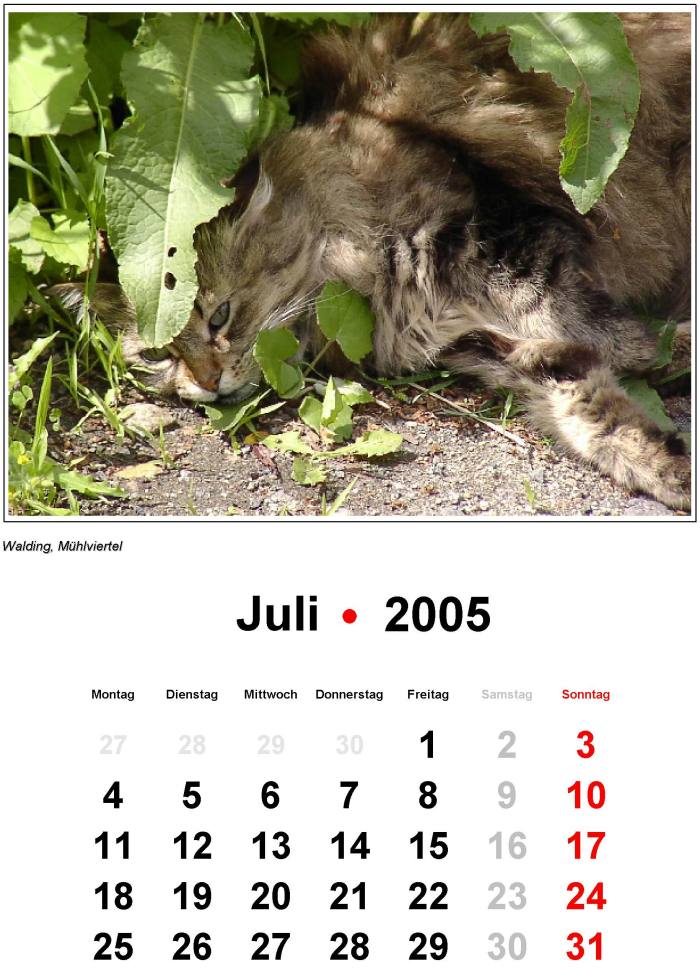 Titel 2005