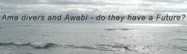 pacific ocean near Katada, central Japan